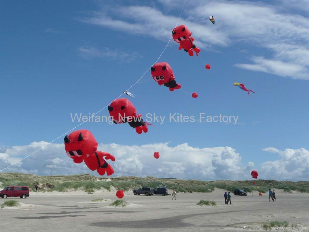 Our Varatia devil kites in Denmark