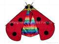 7026 Lady bug 1