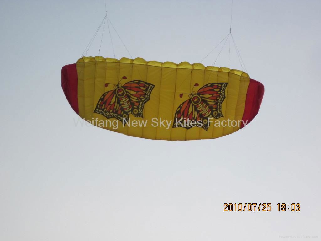 3008 Butterfly Trainer Power Kite 2