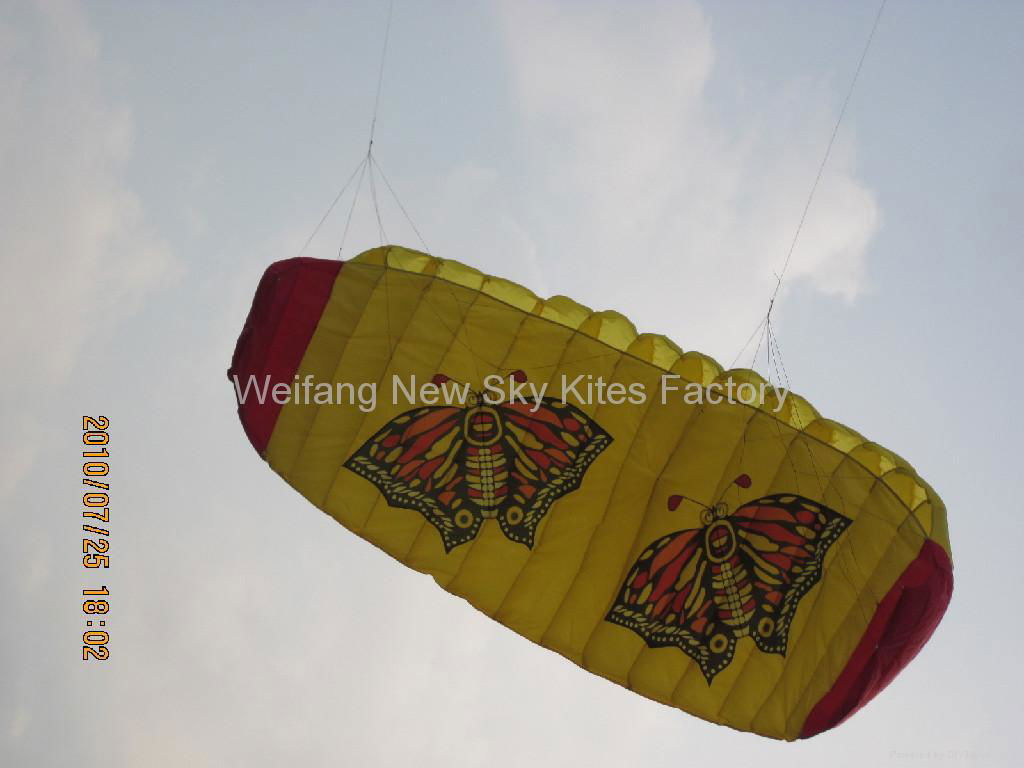 3008 Butterfly Trainer Power Kite 3