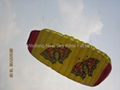 3008 Butterfly Trainer Power Kite