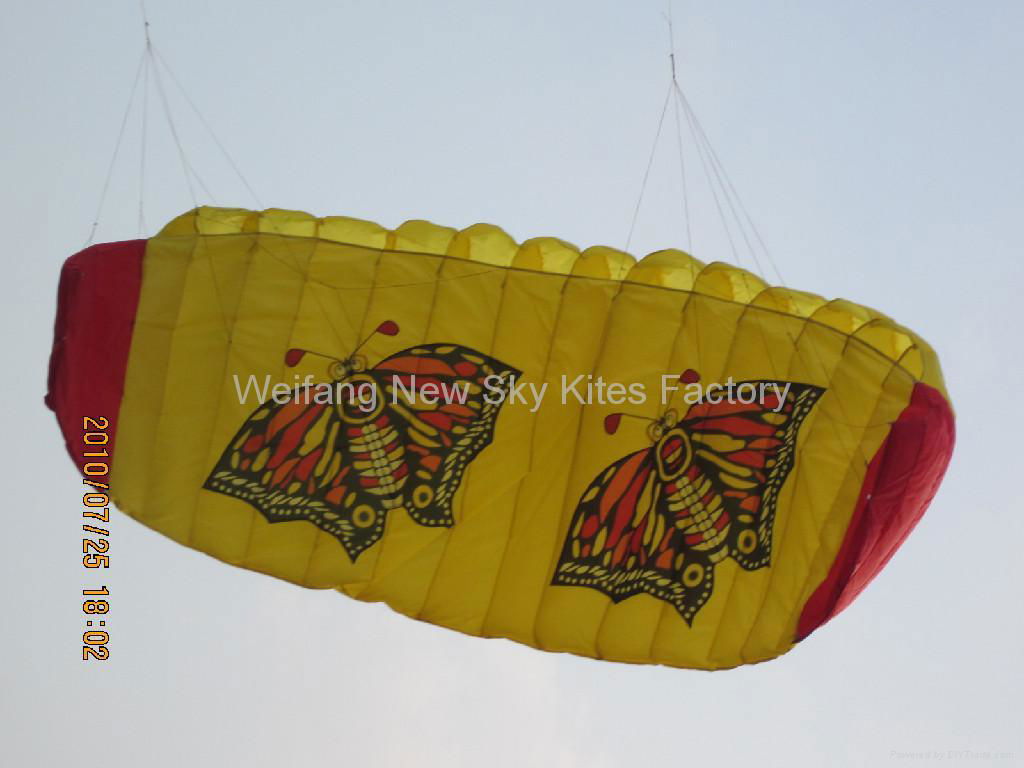 3008 Butterfly Trainer Power Kite 4
