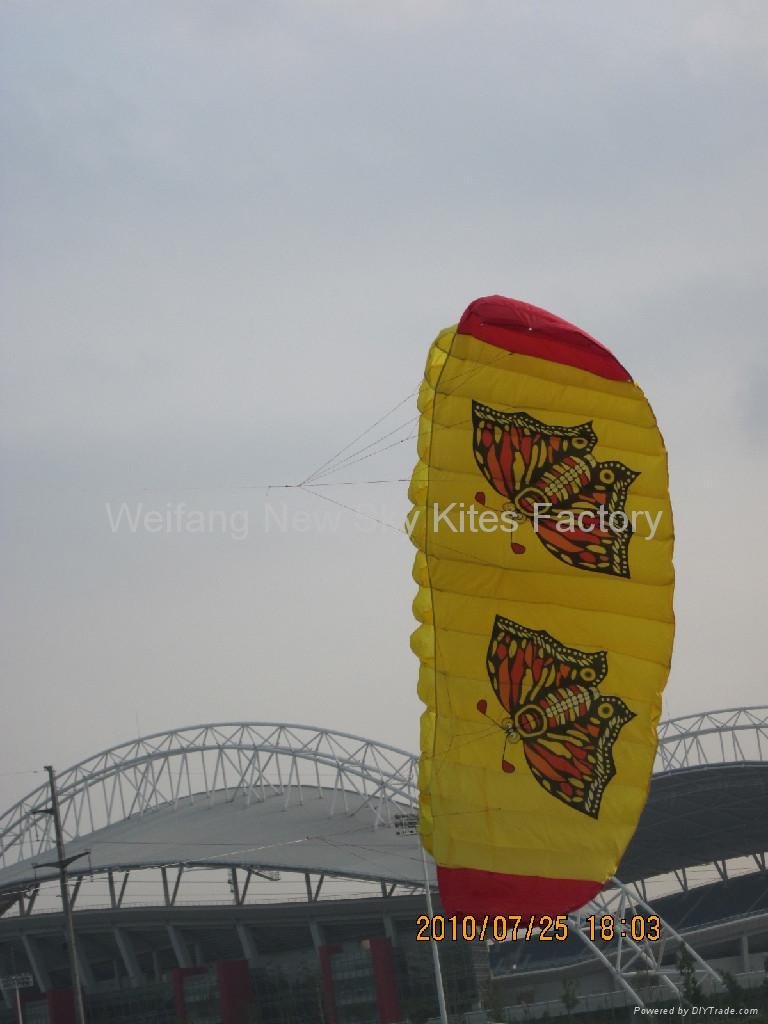 3008 Butterfly Trainer Power Kite 5