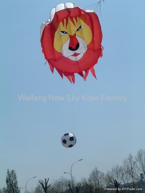 3141 Lion kicking football (3x4M)