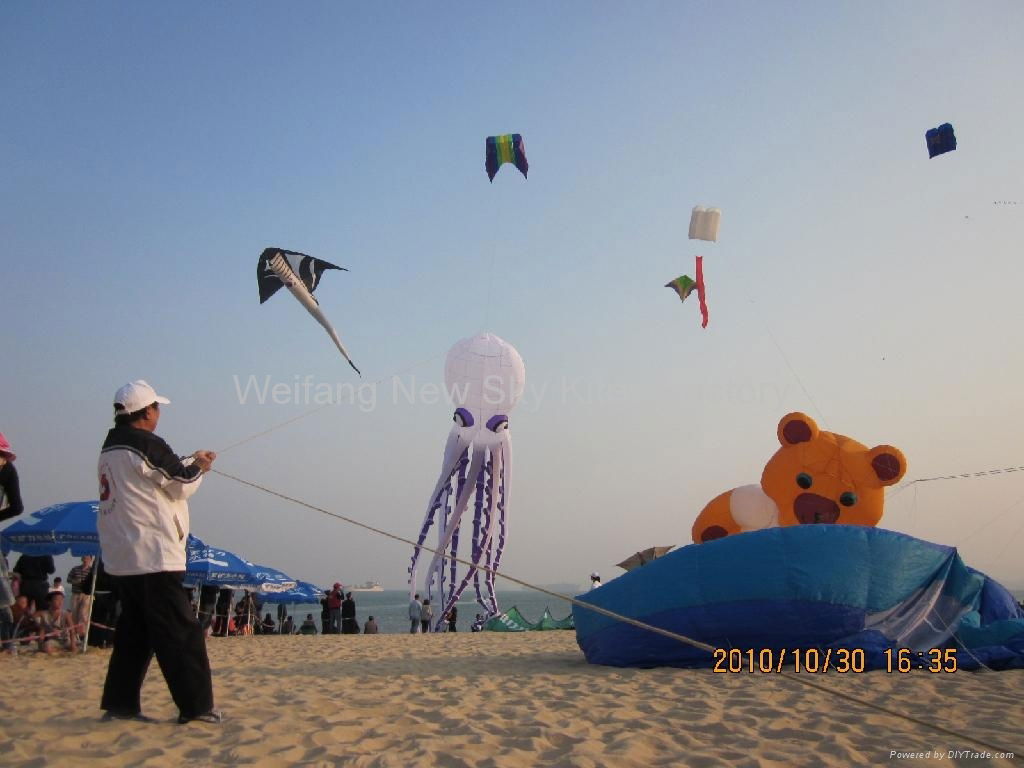 20M 章魚在深圳風箏節 (2010年10月)