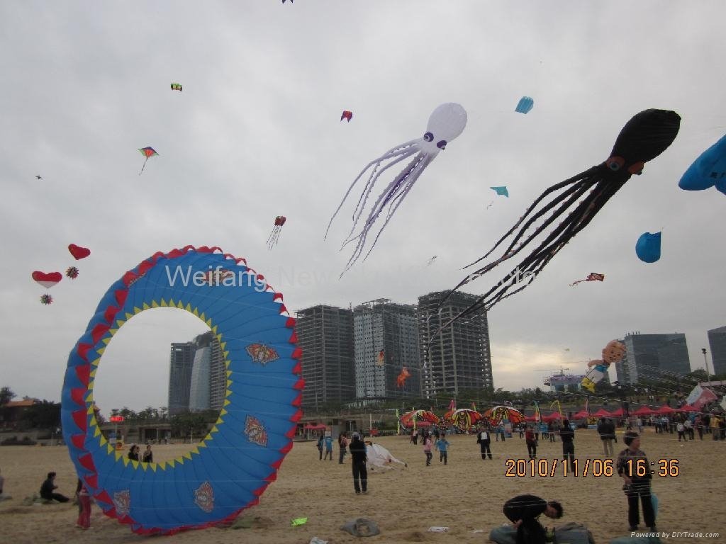 Our kites in Xiamen (Nov, 2010)