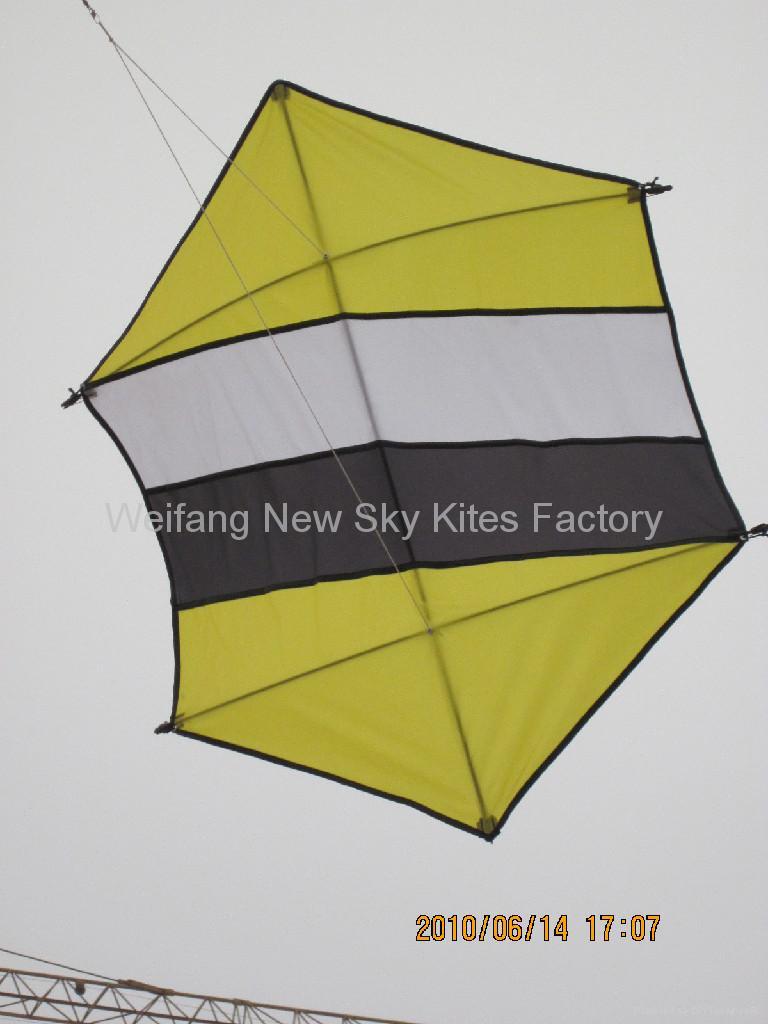 7006 Hexagon kite