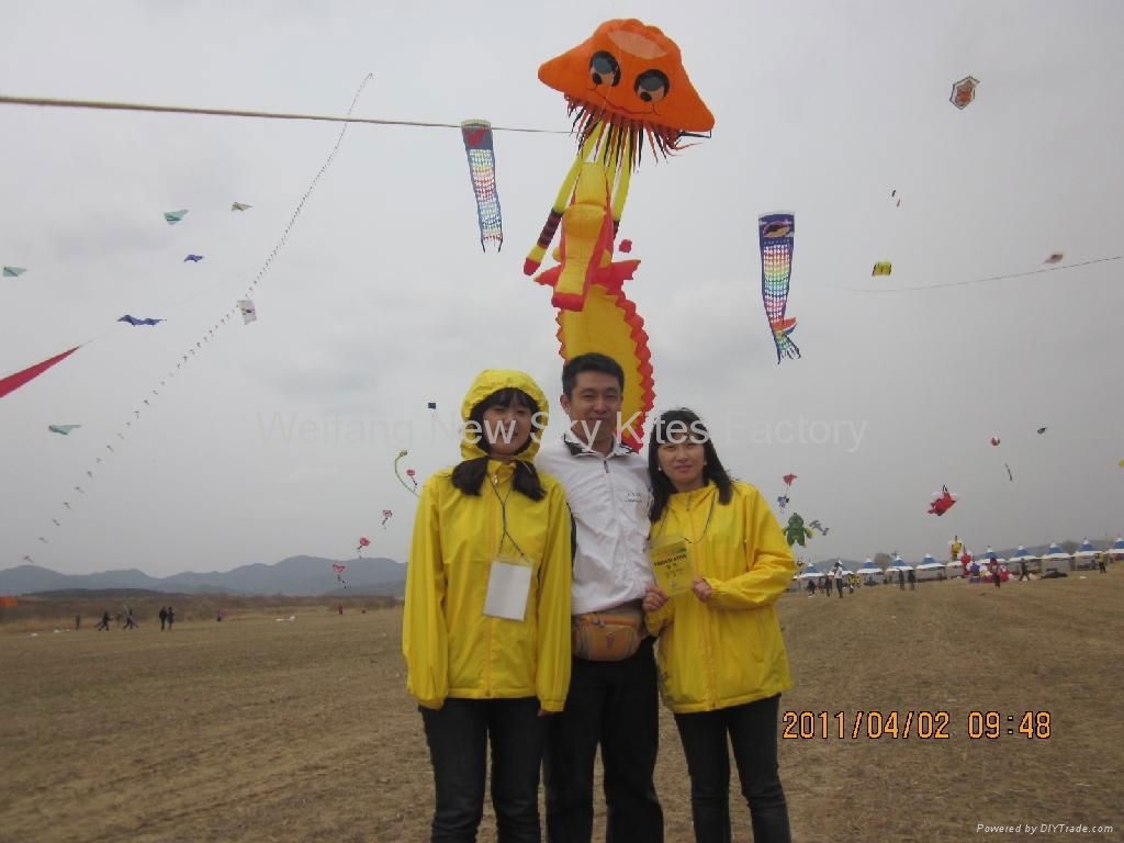 Uiseong Korea kite festival (1st~4th,April 2011)