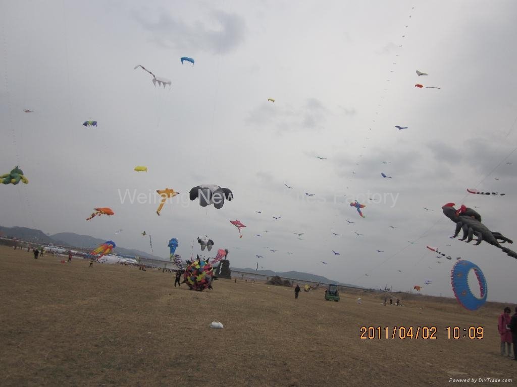 在韩国风筝节 （2011年4月2日）