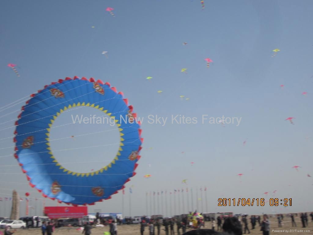 10650 fliers broke Guinness world record