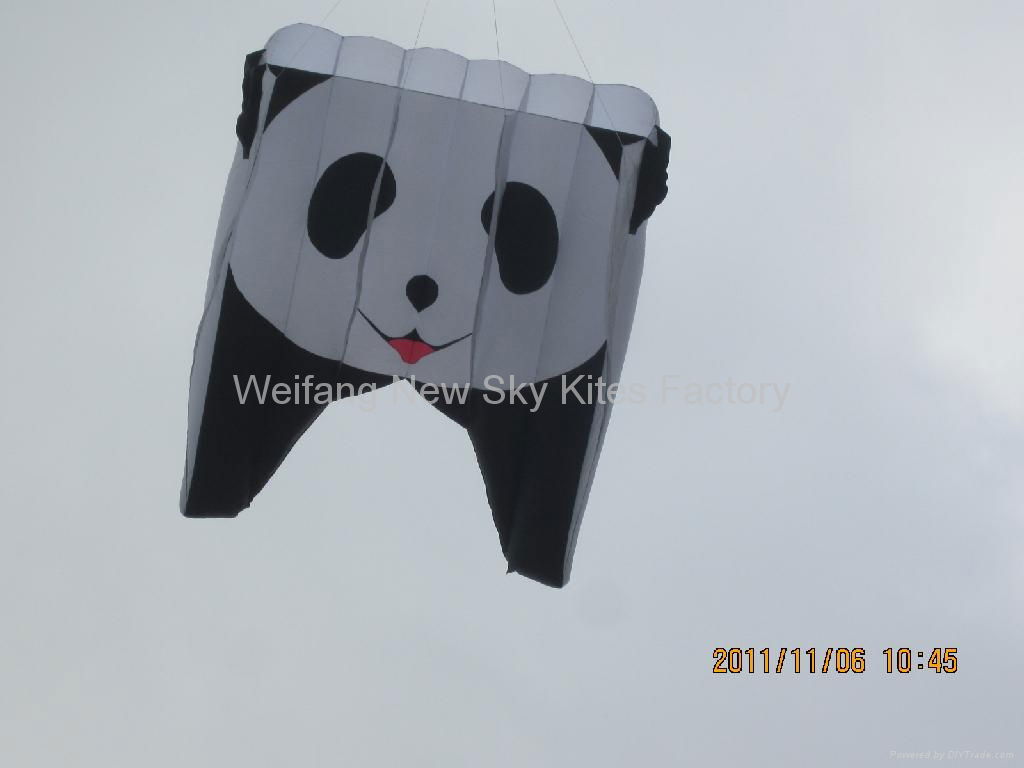 3155 熊貓領航風箏 2