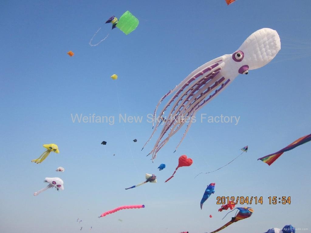 Korean kite festival (14th~15th April 2012)