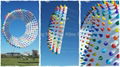 5155 Spiky ring kite 2