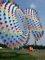 5155 Spiky ring kite 3