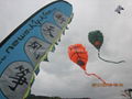 3182 Leaf kite 3