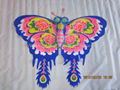 2007  Butterfly 3