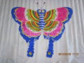 2008 Butterfly 2