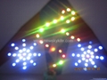 LED kite 4