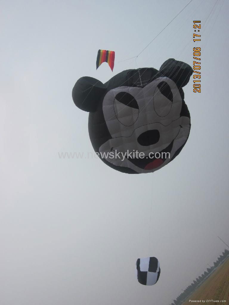 3296 Micky mouse