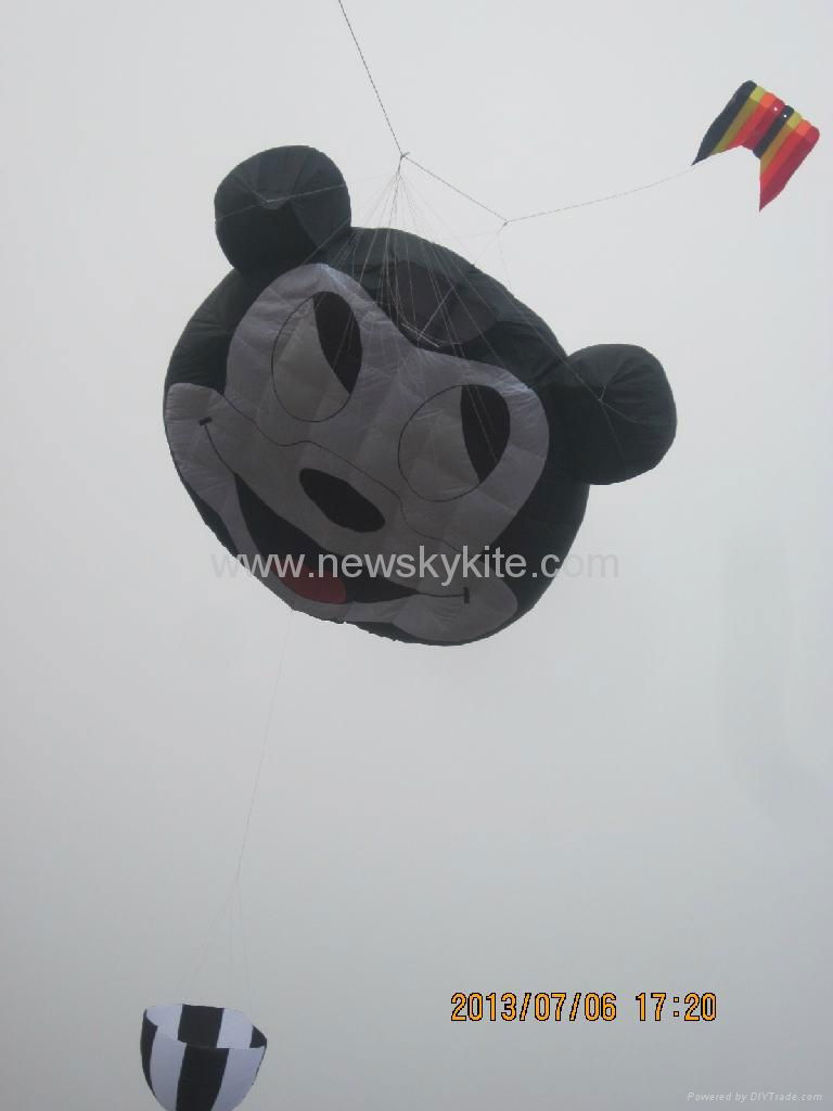 3296 Micky mouse 3