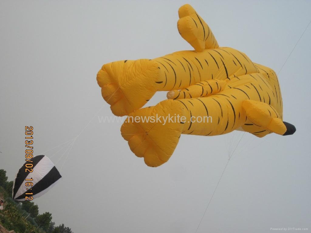 3237 Tiger kite 3