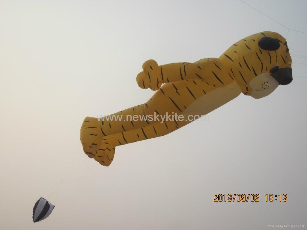 3237 Tiger kite 2