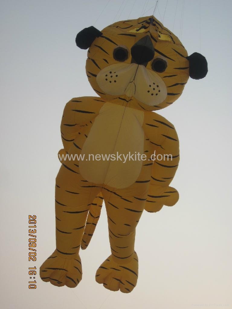 3237 Tiger kite 5