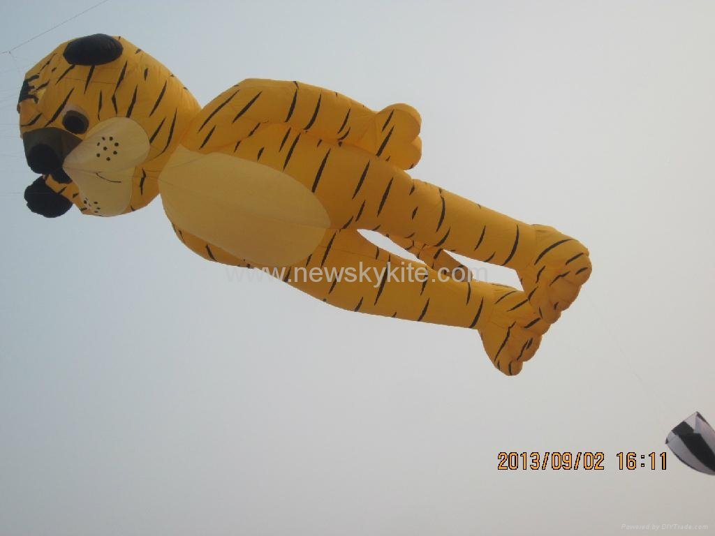 3237 Tiger kite 4