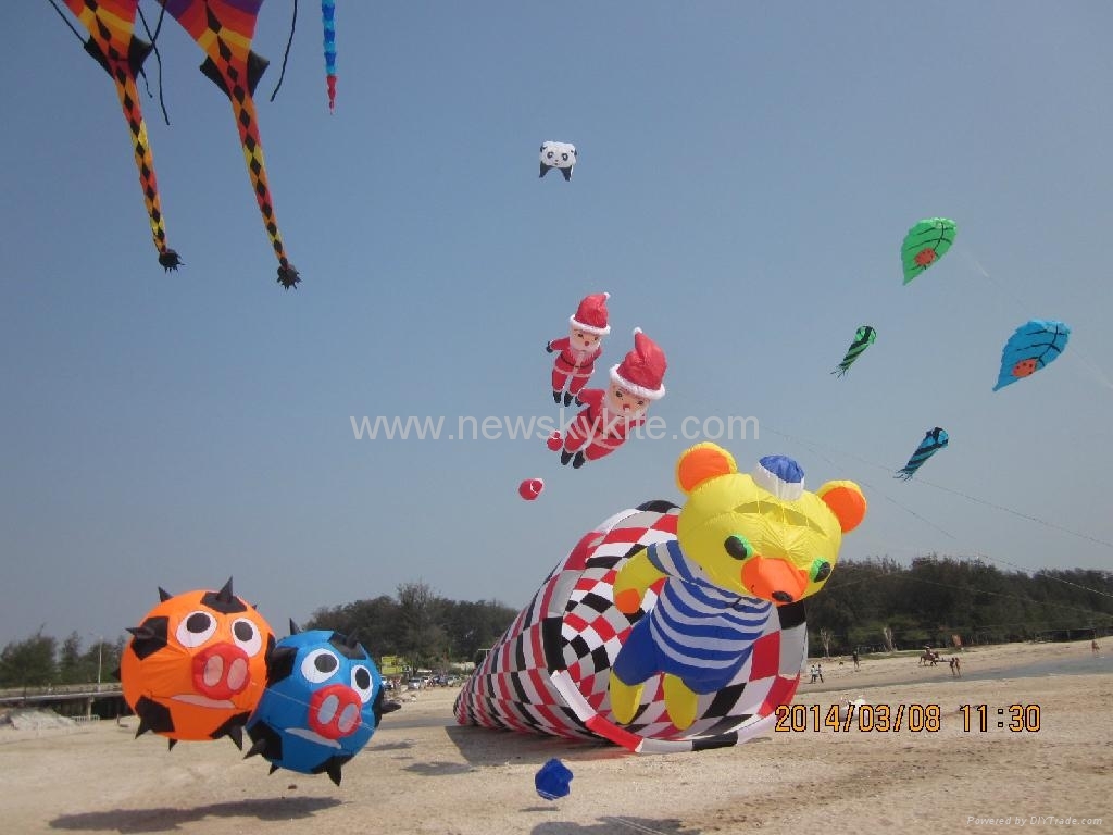 Our kite at Thailand kite festival (9th,March,2014)