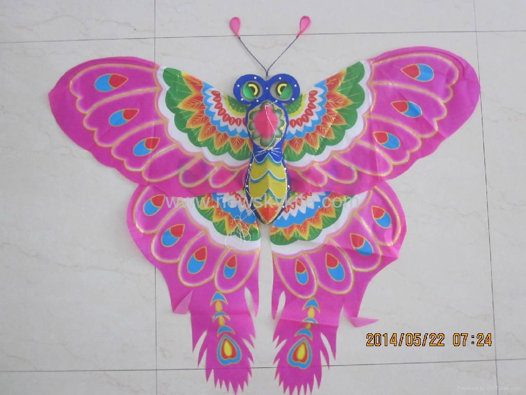 2006 Butterfly 2