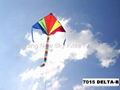 7015  Delta kite 2