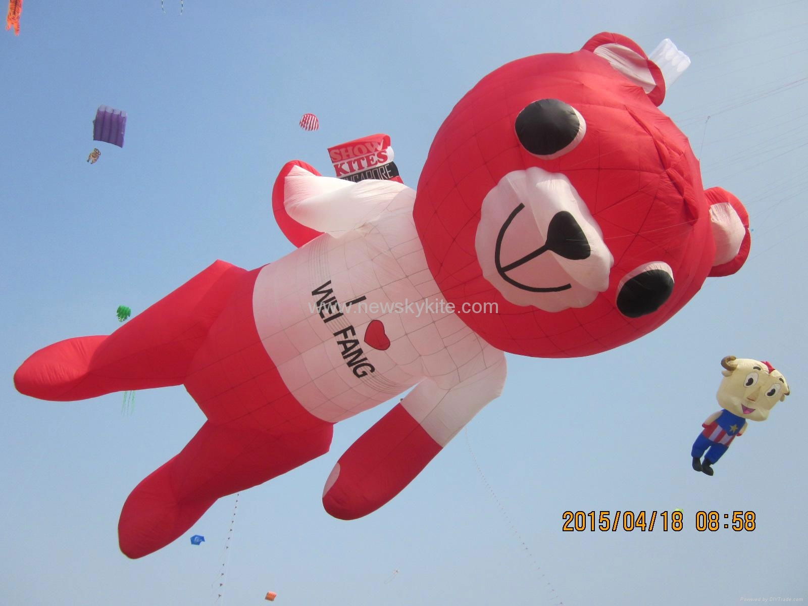 Biggest kite of 2011 WF kite festival (60M long)