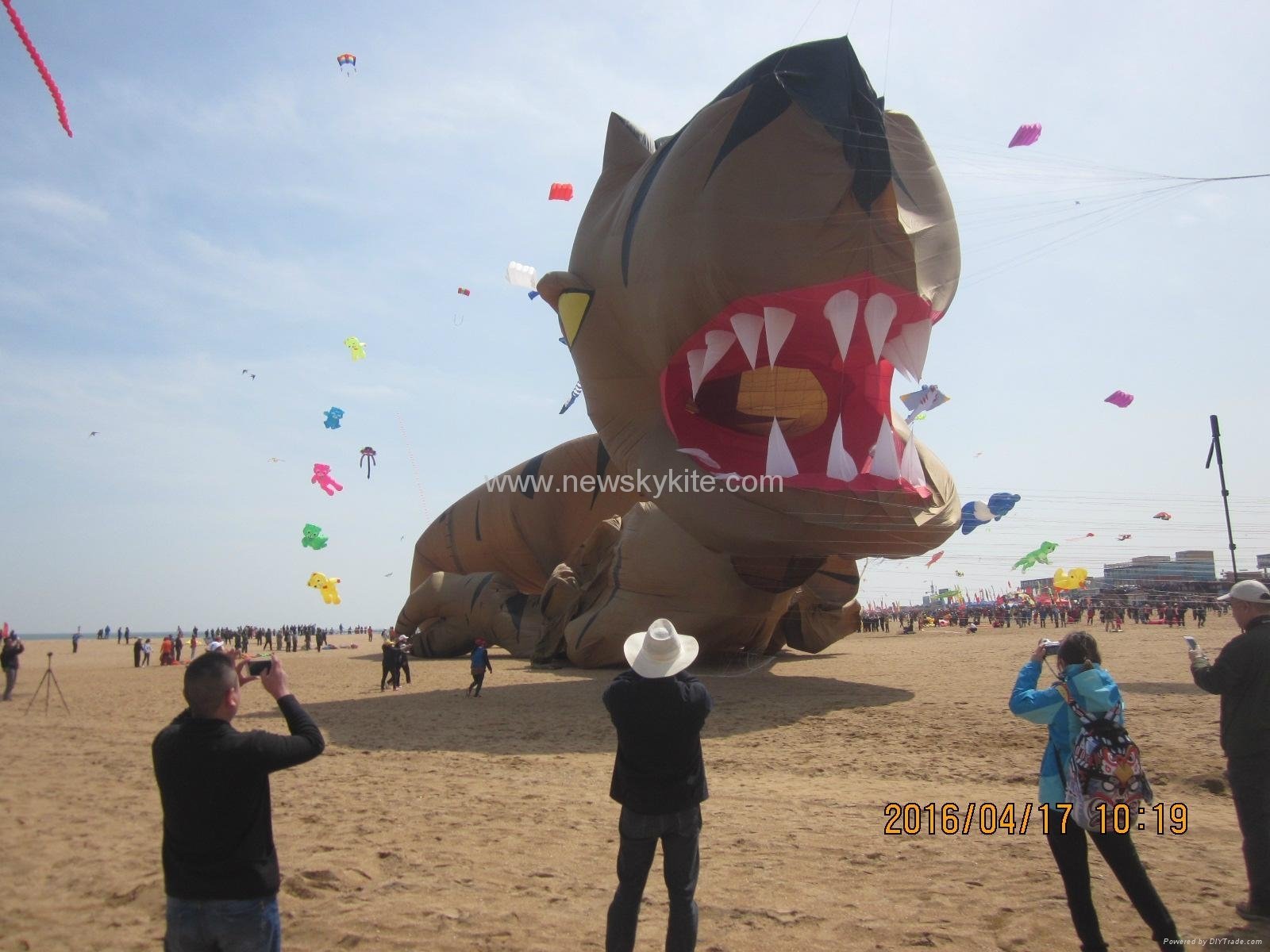 Biggest kite of 2008 WF kite festival (18x12M)