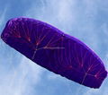 4-line Parafoil Kite 3