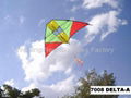 7008 Delta kite 2