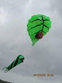 3182 Leaf kite 1