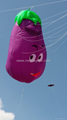 3292 Eggplant kite
