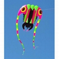 3119 Trilobite kite