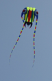 3119 Trilobite kite
