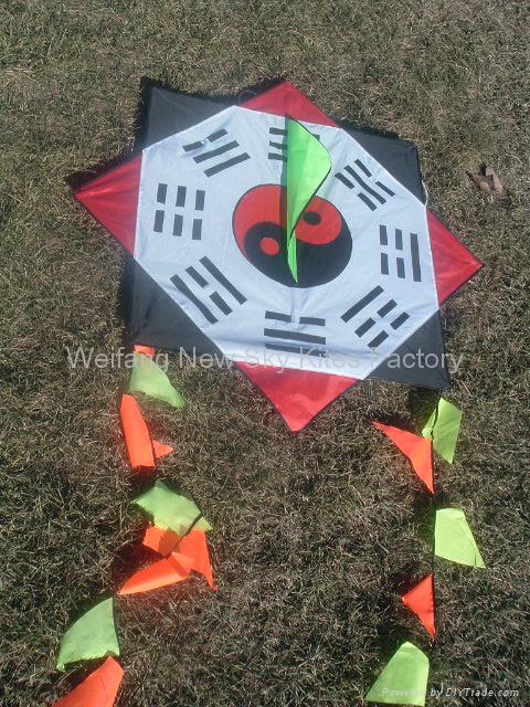 7048A,B Octagon Kite