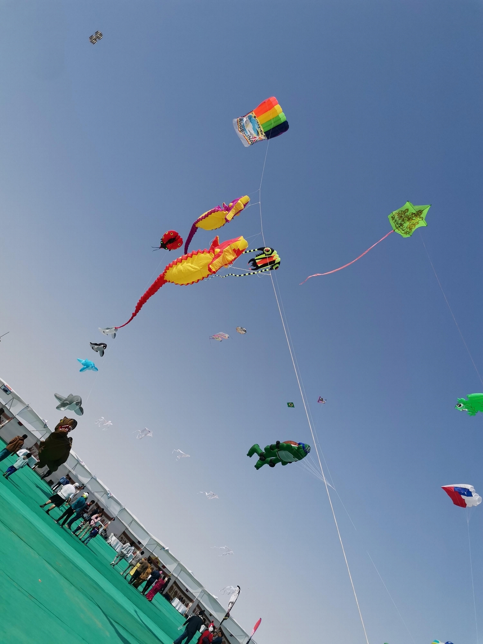 Advertising kite