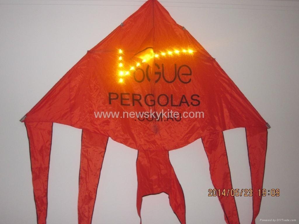 Logo LED kite