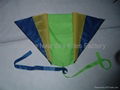 3002   Pocket Kite 2