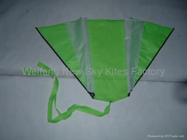 3002   Pocket Kite 5