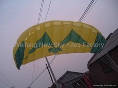 3007  海鷗版軟體特技風箏