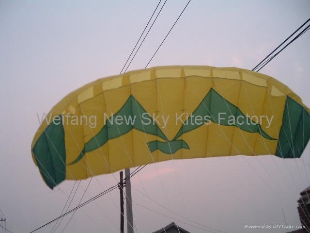 3007 Seagull Trainer Power Kite 2