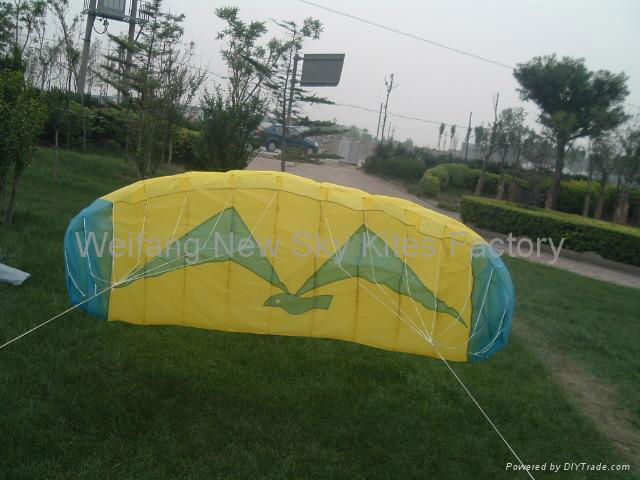 3007 Seagull Trainer Power Kite 3