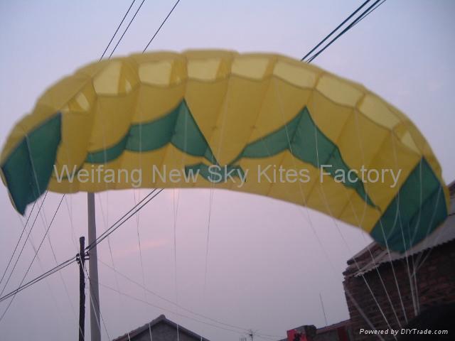 3007 Seagull Trainer Power Kite 5