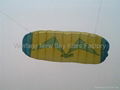 3007 Seagull Trainer Power Kite 4