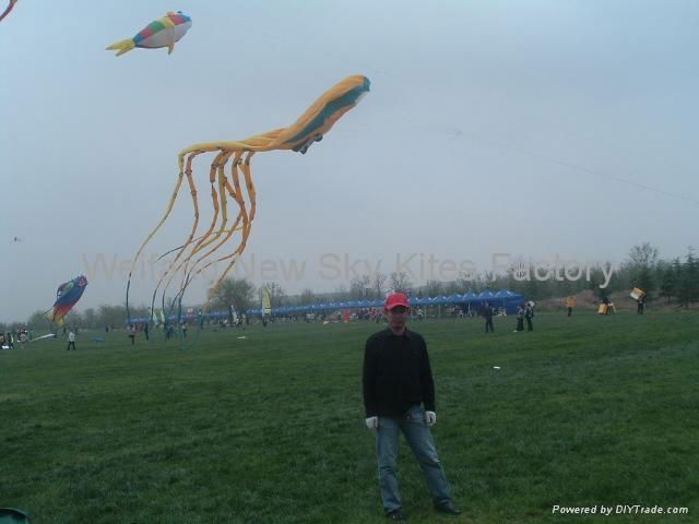 Our 2008 Kite Festival